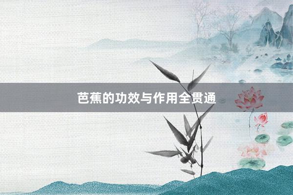 芭蕉的功效与作用全贯通